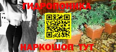 дживик Камышлов