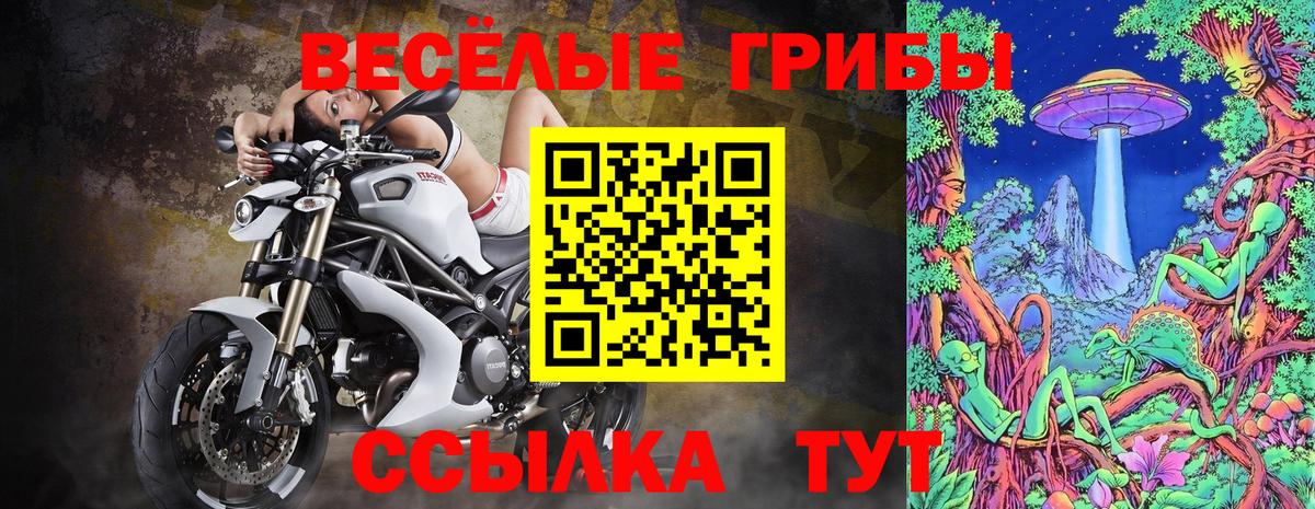 где купить наркоту  Вход с VPN  Донецк  Галлюциногенные грибы мухоморы 