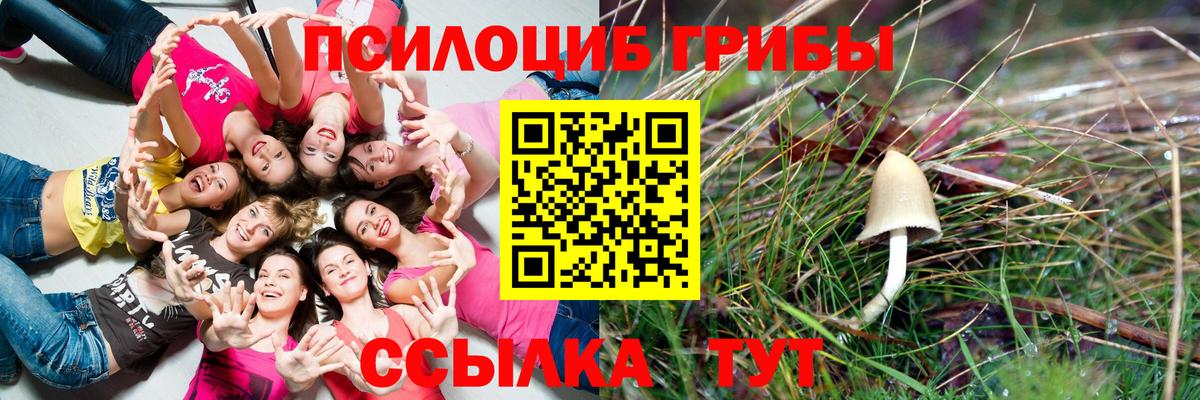 Псилоцибиновые грибы мицелий Донецк